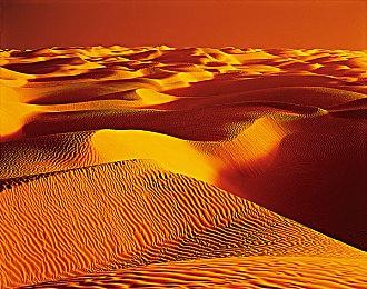 你永远玩不到的《GTA6》！三度被拒的黑暗剧情曝光